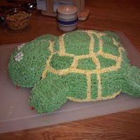 Graduation Tortoise Cake Many thanks to srmaxwell for the inspiration of this cake. This is the very first cake that I attempted to decorate. My husband is...