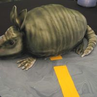 Armadillo In The Middle Of The Road Of course this was a red velvet cake, made with the medium and small oval pans. It was pretty easy to do.