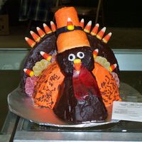 Thanksgiving Turkey okay, so this one was inspired by stvsbabygirl. My daughter saw it while I was looking for ideas for my fair project! She had to do it. She...