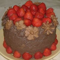 Chocolate Strawberry Cake I made this not only to practise, but to have something to give my son since he couldn't have any of the shower cake he watched me...