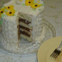 Wilton Class ~ Basketweave This was done at my Wilton basketweave lesson. My son thought it would look cool to cut a piece out like that, and set the empty plate next...