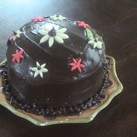 Mini Chocolate Cake This is my first ganache covered cake. It went with the luggage cake. It is chocolate butter cake with cookies and cream filling, cobered...