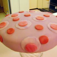 Fondant Cake Took a fondant class last night and loved it. Not so much the taste but rather working with the fondant. I can't wait until I can take...