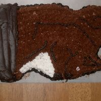 Squirrel Cake A friend of mine is squirrel crazy so he got it for his birthday