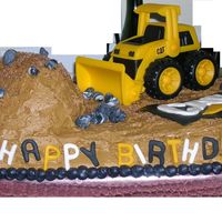 Earthdigger CAT themed birthday party