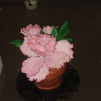 Flower Pot this flower pot cake was made for my mom for mommy's day...she loved it..choc with choc buttercream.. what do u guys think? thanks for...