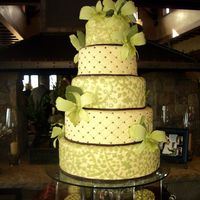 Modern Lace Vanilla Bean Cake with (green) white chocolate lace, chocolate ribbon and gumpaste orchids.