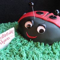 Ladybug Fun cake for ladybug party.