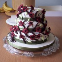 Ex Wedding Cake I made this cake for my Daughter's Dad's wedding cake last year...Him and his new wife asked me to make it for them, i layered...