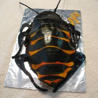 Fear Factor Cockroach This was a request from a 10yr old boy having a fear factor party. It was also filled on top of the cake with vanilla mousse that I colored...