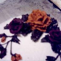 Fall Colored Spray My first cake made when I finished the first cake-decorating class at Sweet Celebrations (similar to the Wilton classes). I piped some...