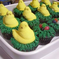 Peeps Cupcakes for my kids to take to the sitter's