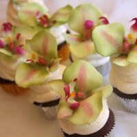 Orchid Cc These are real orchids on top of my cupcakes
