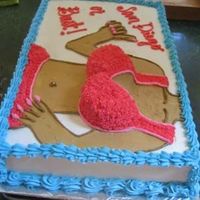 San Diego Or Bust!! this was a going away cake for a guy who liked boobs :) they ended up being like 3" off the cake, he LOVED it - it was great :)