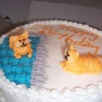 Kitty Cat Birthday Cake BIRTHDAY CAKE FOR MY BOSS WHO IS REALLY INTO CATS. ALL B/C