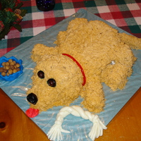 Dog Birthday Cake This was my first 3D cake. The dog was very easy to do with the directions posted here on CC. I used MMF for the dog toy and dish and Reese...