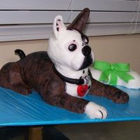 Rocky I made this to look like our Boston Terrier, Rocky. My husband requested it for his birthday. It's a combination of chocolate chip...