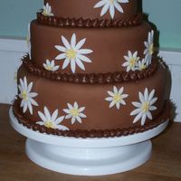 Chocolate Daisy Cake 
