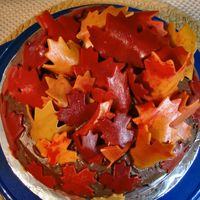 Autumn Leaves This is my second time working with fondant. The cake is for a breast cancer awareness fundraiser at work. I love the look of the leaves,...