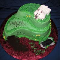 Happyb'day Drew Confetti Cake with raspberry swirl buttercream filling... 11 year old girl wanted the theme Who Let the Dogs Out... the dog on the board is...