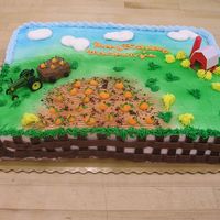 Pumpkin Patch Pumpkin patch