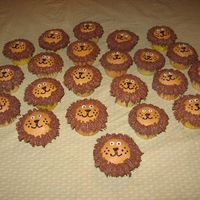 Gabriel's Lions My grandson has been crazy about lions forever. he asked for lion cupcake for his daycare class. My thanks to all who have done them before...