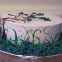 Grassland This is just a small test cake, chocolate cake with dulche de leche filling and an espresso, with a hint of cinnamon, frosting. I was...