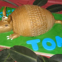 Armadillo For a fan of Steel Magnolias on his 30th.