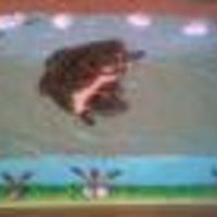 Bass Birthday Cake This is a chocolate cake with mocha filling YUMMY! 1/2 sheet size all BC except for the bass he is a chocolate transfer. Many thanks to...