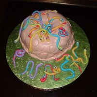 Snake Pit Cake Did this for a co-worker's son's 7th birthday. He had the reptile guy come with all the snakes. White cake with strawberry cream...