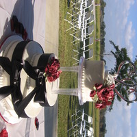Wedding Nov 2010 Wedding Cake for outdoor wedding, White cake, Bavarain Cream filing, buttercream icing, Crimson Red gumpaste roses dusted with pearl, satin...