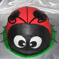 Ladybug 