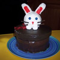 Magic Bunny The cake is made out of two 8in round and one 10 in round. The bunny is made out of two cakes baked in custard bowls and two vanilla...