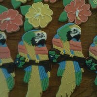 Luau parrot and hibiscus cookies for niece's birthday