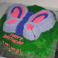 Tatiana's Butterfly Cake This is a cake that my friends and I made for our friend's birthday. The top layer is chocolate and the bottom layer is white. It'...