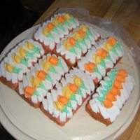 Practice Cakes Just practicing my rosebuds after Willton II.