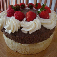 Steamed Vanilla & Chocolate Cake I used the wonderful recipe in the CC recipe section under Asian cakes. This cake is steamed and rises beautifully. I made this cake for a...