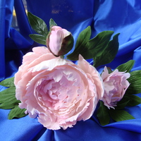 Pink Peony & Buds Pink peonies made with two different sized catalyea orchid cutters. I've been begging to learn how to do these flowers. My wonderful...