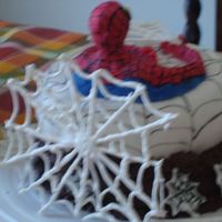 Spiderman Cake Back View Back of cake, some of the royal icing web broke and I think I would try and shape it next time, rather than just having it flat. handy for...