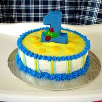 First Birthday - Smash Cake Here is the smash cake that I made to match the main cake.