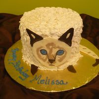 Cat B'day Cake This was for a lady who really loved her cat and her parents thought this would be cute for her. Cat face & tail was hand done in...