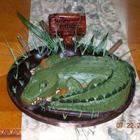 Alligator Cake I carved this out of a 9X13 cake, frosted in buttercream with chocolate scales. Cake board covered in fondant with a gumpaste sign. TFL!