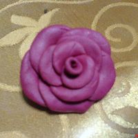 Trying To Get A Good Rose For A 1St Timer 