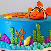 Nemo Birthday Cake Buttercream icing piping, fondant Nemo, and chocolate molded sea shells.