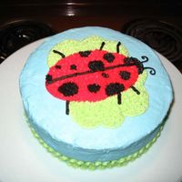Ladybug Cake This is my first cake from the Wilton Course I class. I didn't want to do the rainbow so I did this instead. It was cuter in person