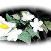 Calla Lily This is the Calla Lily I did for my daughter's wedding cake