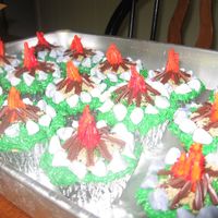 Campfire cupcakes I made for a campfire campout.