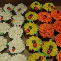 Flower/ladybug Cupcakes white cupcakes are gluten free, artificial ing. free and other free stuff chocolate cupcakes. The rest are reg. chocolate cake with royal...