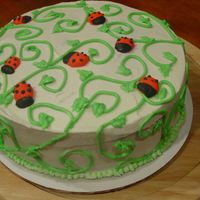 Ladybugs On A Vine I saw this design on here at CC. Thank you all for posting your pics. I made this cake in a hurry to help out the Special Olympics bake...