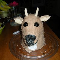 Father's Day Deer Head WASC recipe with nutella buttercream. I procrastinated with this cake. Instead of making the antlers ahead of time I did them one day...